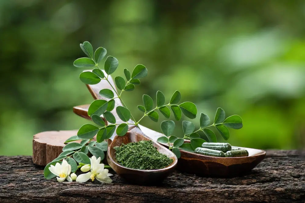 How to Boost Kids' Growth and Immunity with Moringa: Nature's Answer to Healthy Development
