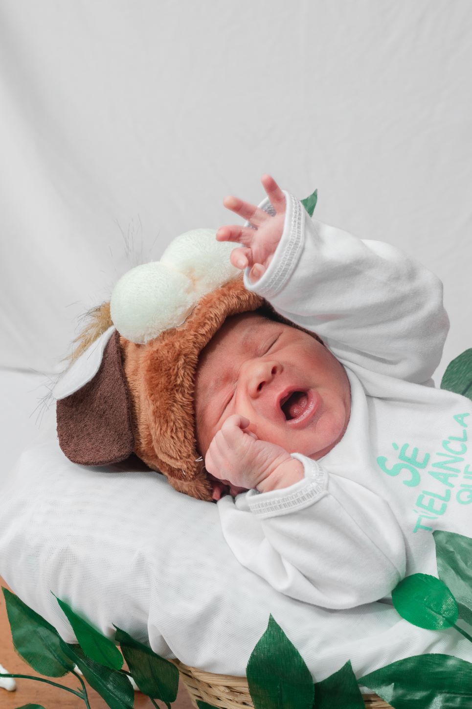 Developmental Milestones and their importance